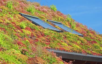 Clarbeston Road living roof systems