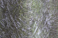 Clarbeston Road fibreglass roof work